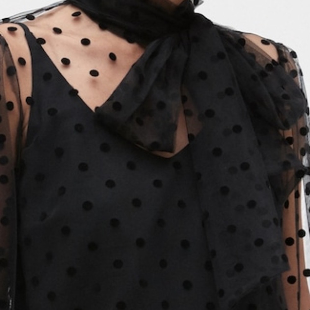 Meet your Posher, Rose